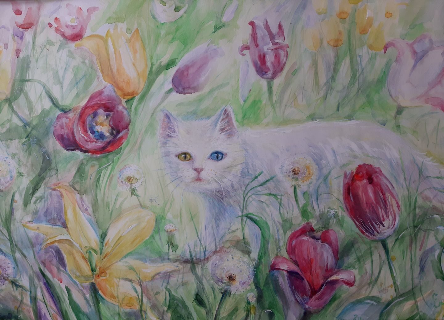 Сказочная красота. Фото.