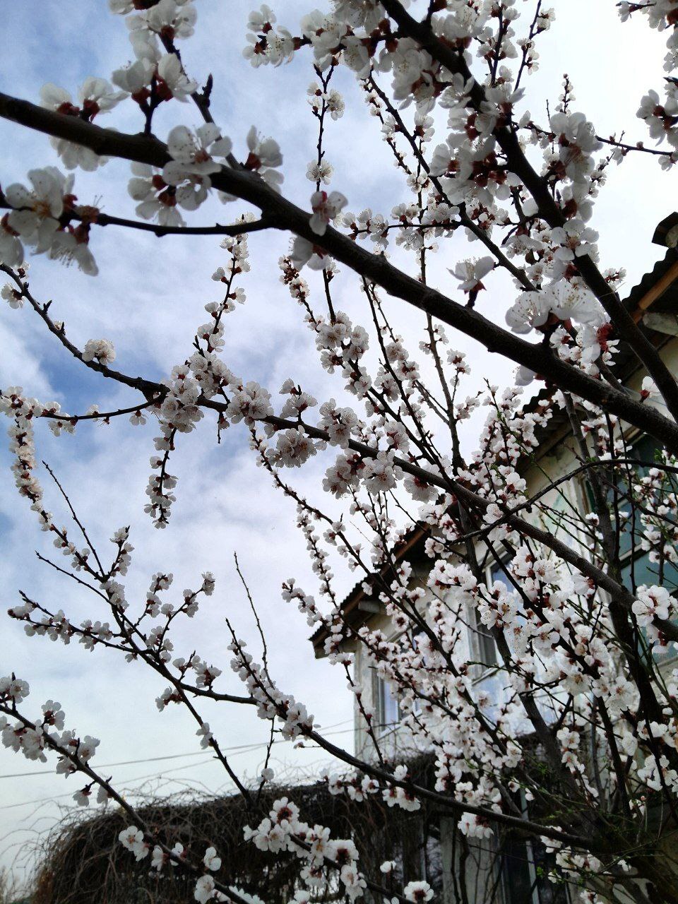 Весна, время прогулок