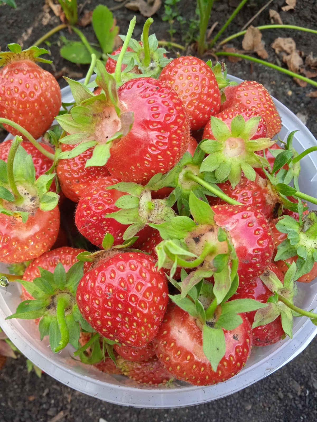 «Зачем выбрасывать, если заработать можно»: как любимое хобби превратилось в дополнительный источник дохода.