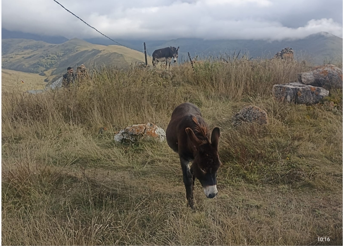 Как мне приписали двух детишек на суточно.ру