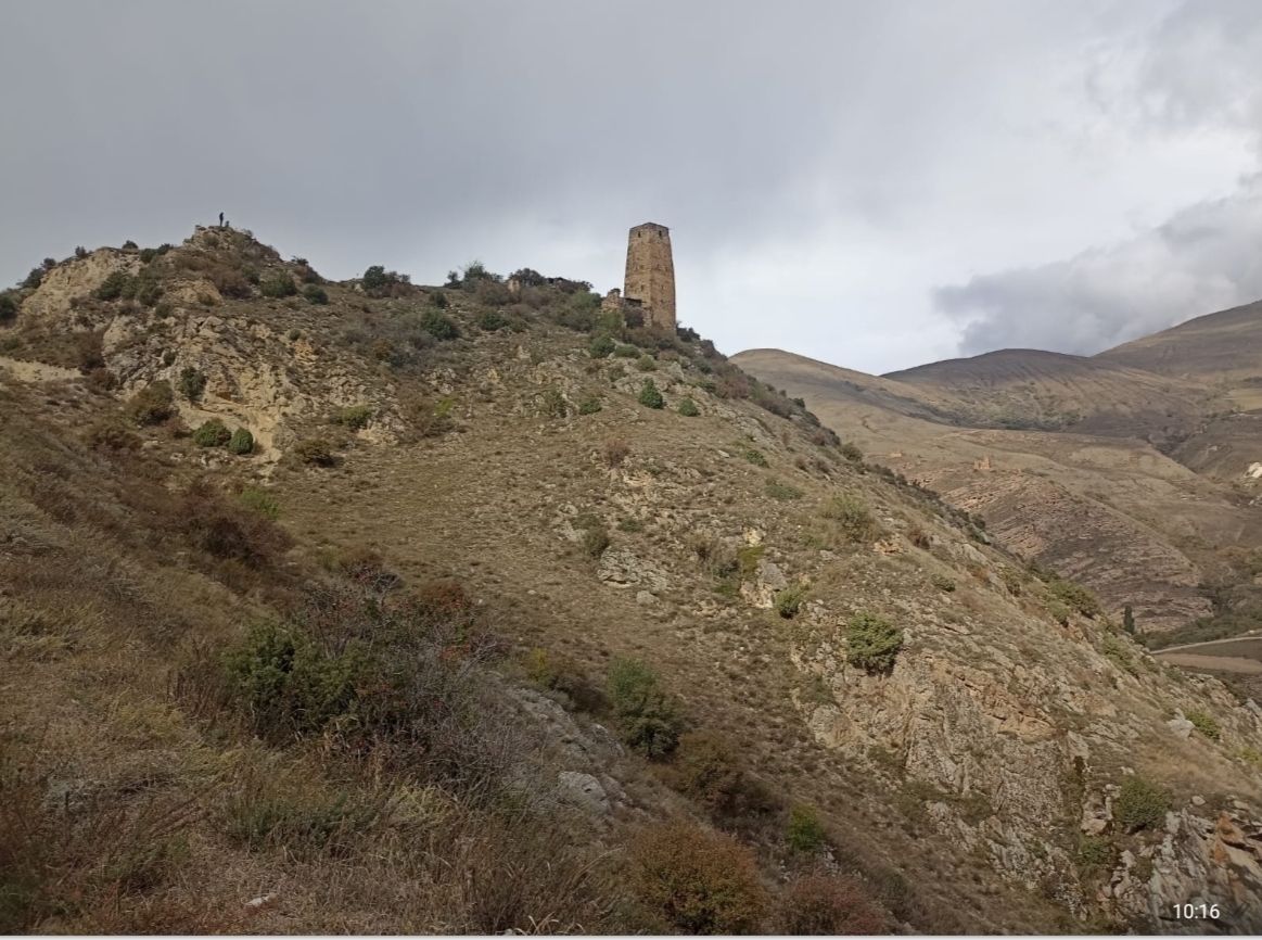 Как мне приписали двух детишек на суточно.ру