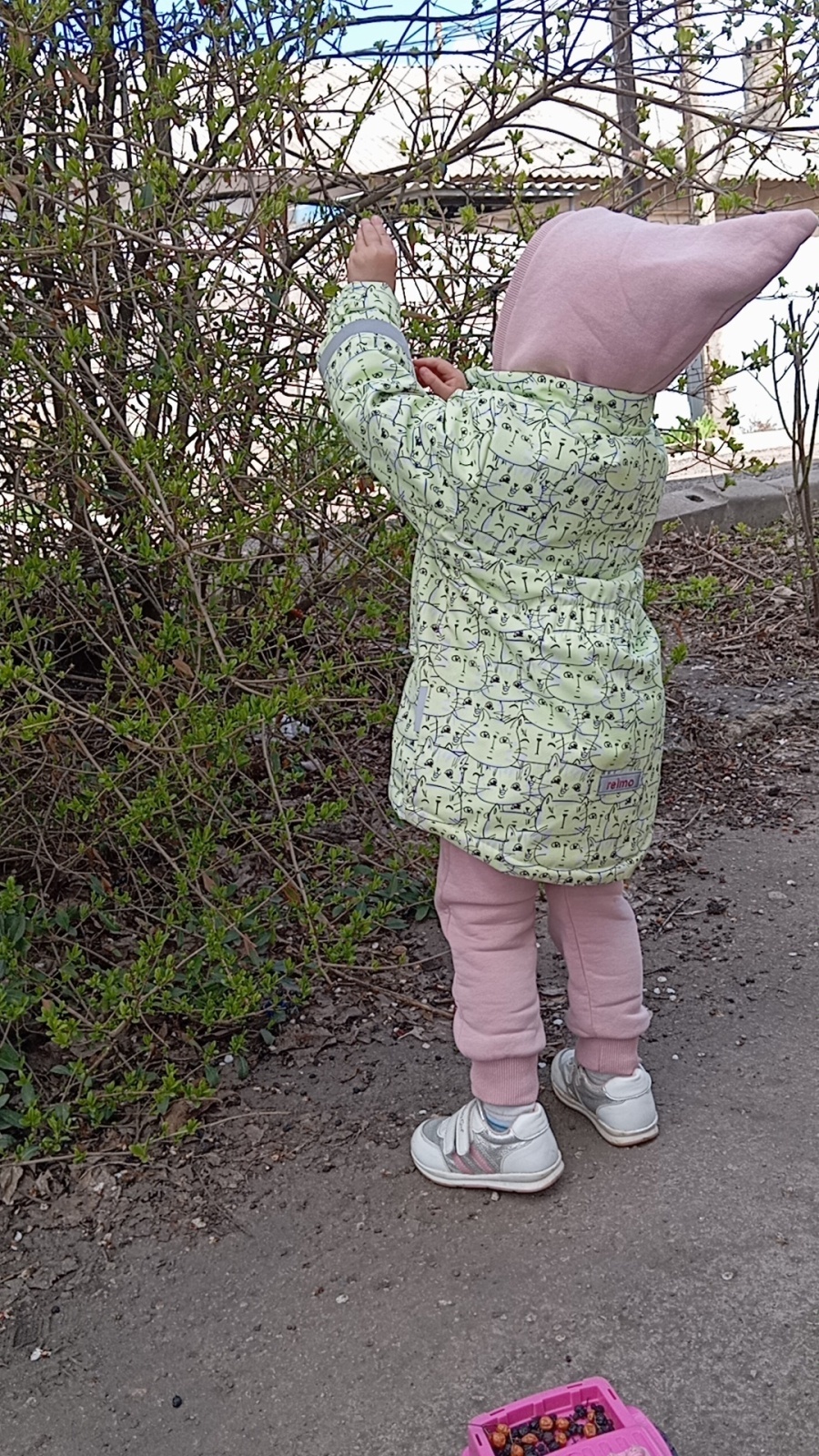 Очередной уникальный метод заработка в Телеграм, и как понять, что это - развод