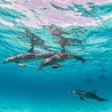 Барышня, г. Костомукша