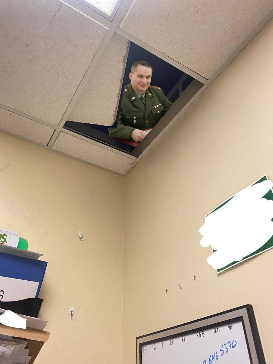 Юмора вам в ленту, а еще опрос