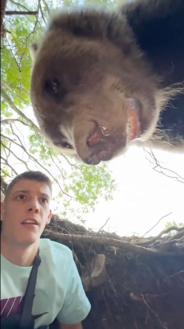 Инфлюенсер снимает себя в берлоге медведя