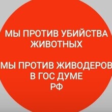 Григорьева Юлия Евгеньевна, г. Великий Новгород