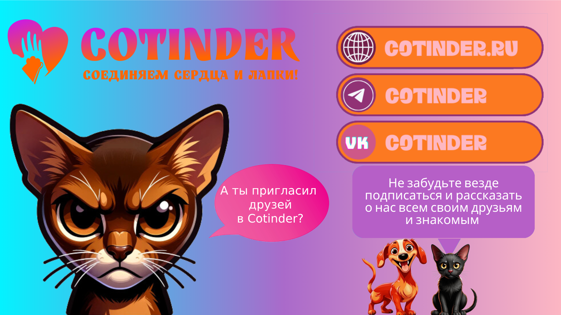 🤗Почему мы всегда хотим больше — история одной маленькой синички