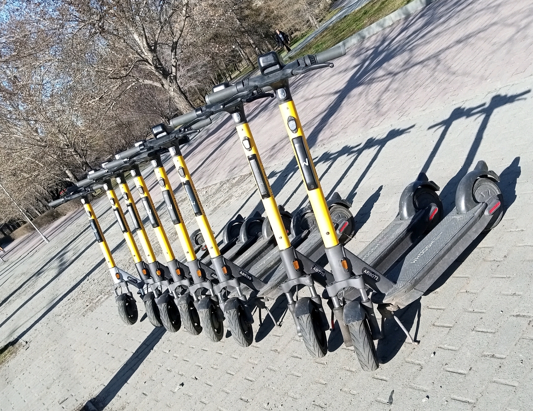 Самокаты: удобный транспорт или угроза пешеходам?