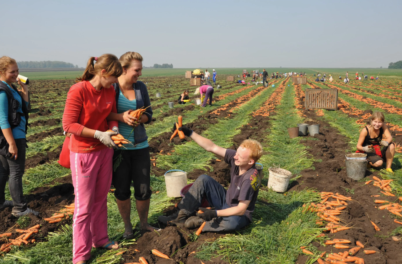 РАБОТА МЕЧТЫ или сладкое ничегонеделание: как занять комфортную середину и не слушать чужие упрёки?!