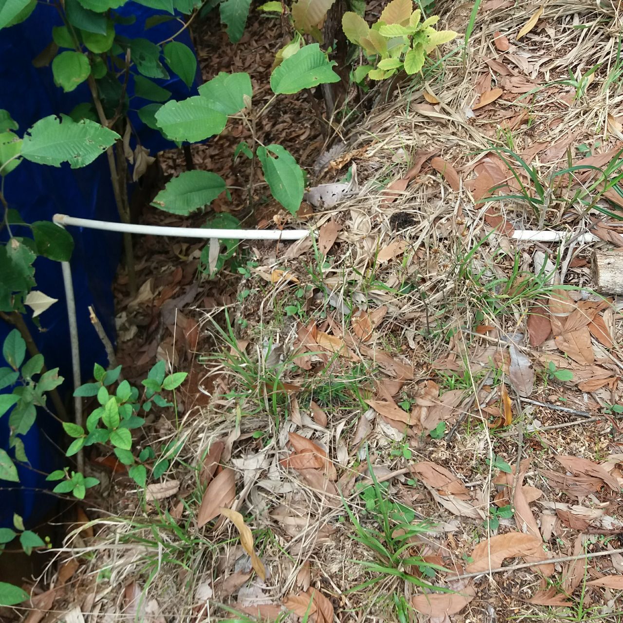 Моя стройка продолжается: подключение коммуникаций к дому, а тем более к дому в автобусе в стране вечного лета – одно удовольствие