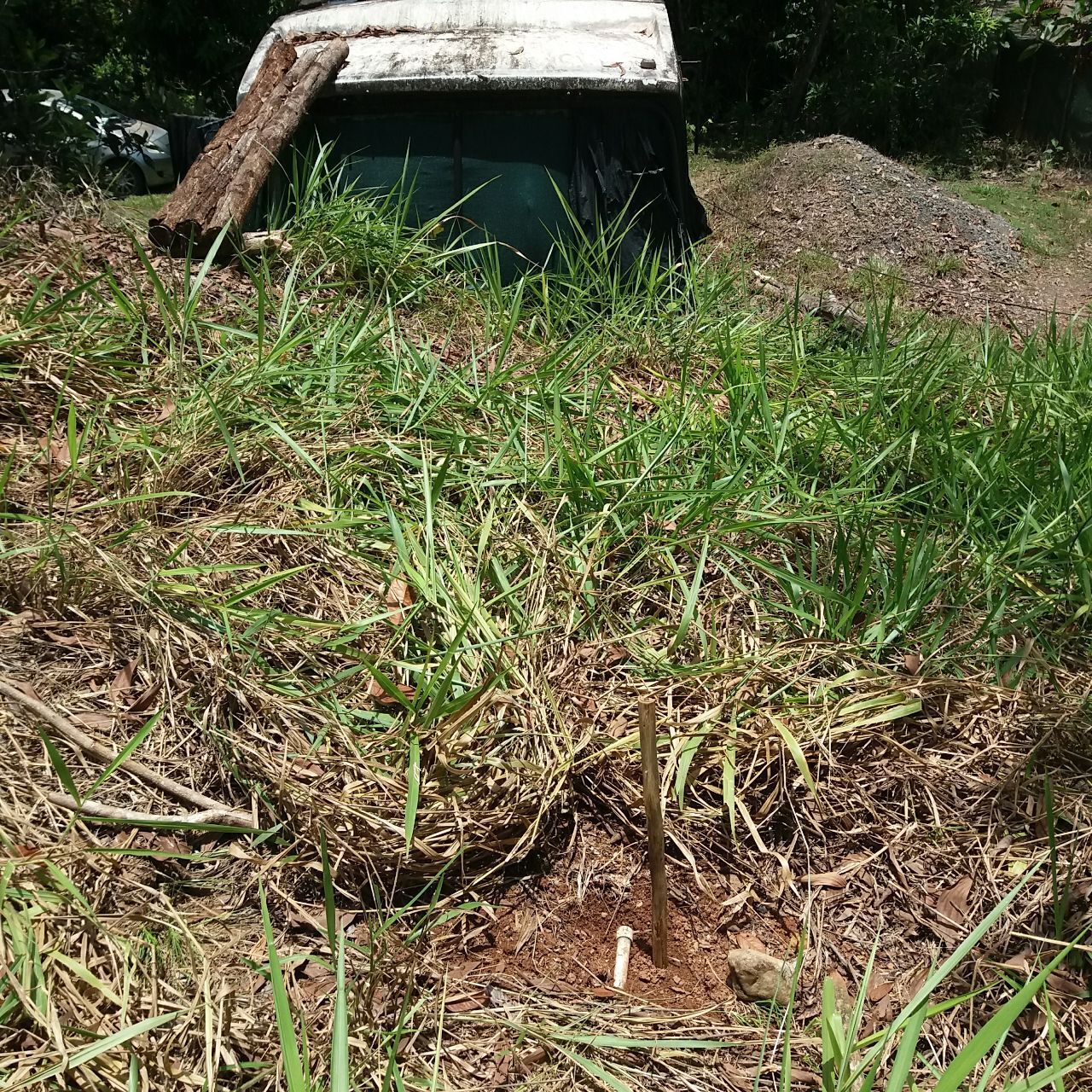 Моя стройка продолжается: подключение коммуникаций к дому, а тем более к дому в автобусе в стране вечного лета – одно удовольствие