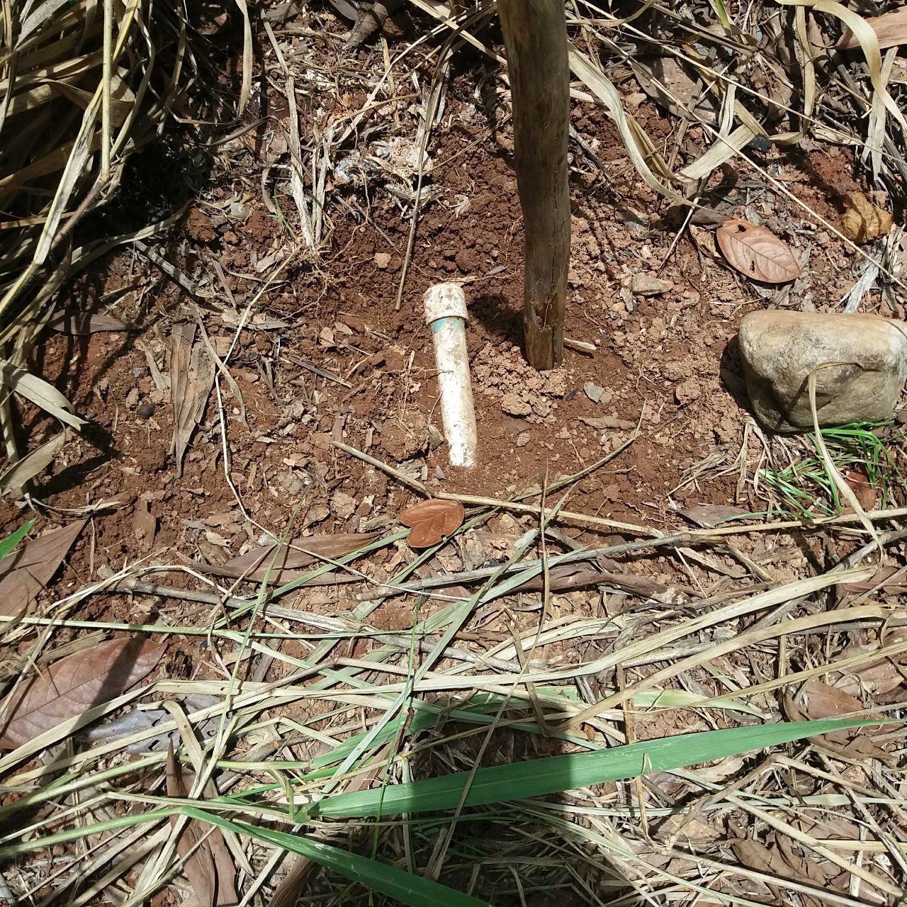 Моя стройка продолжается: подключение коммуникаций к дому, а тем более к дому в автобусе в стране вечного лета – одно удовольствие