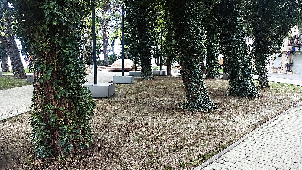 В природе как у людей