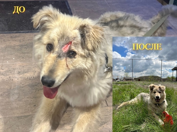 Из юристов в спасатели: случай из жизни при ЧС в Орске