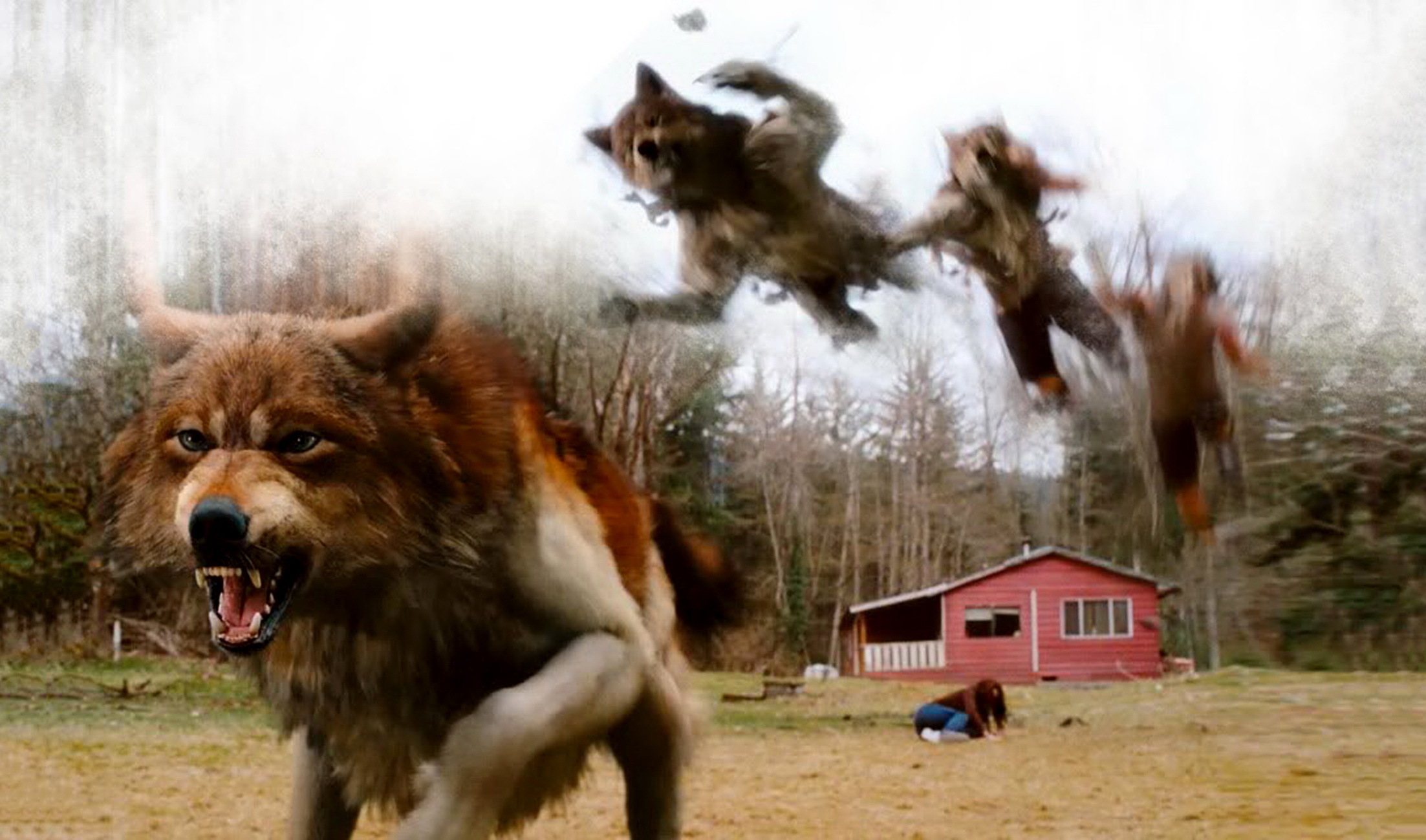 Секреты реального физического превращения человека в кошку, собаку, волка, медведя...