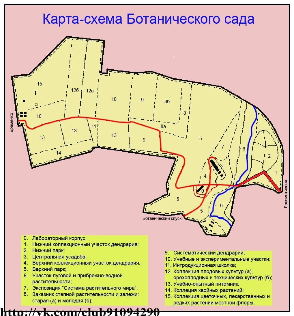 Как я заблудилось в Ботаническом саду ЮФУ г. Ростова-на-Дону, осталась без связи и Интернета и три часа плутала среди деревьев