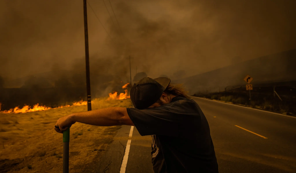 Как изменение климата вредит здоровью? Изучить этот вопрос стало ещё сложнее.