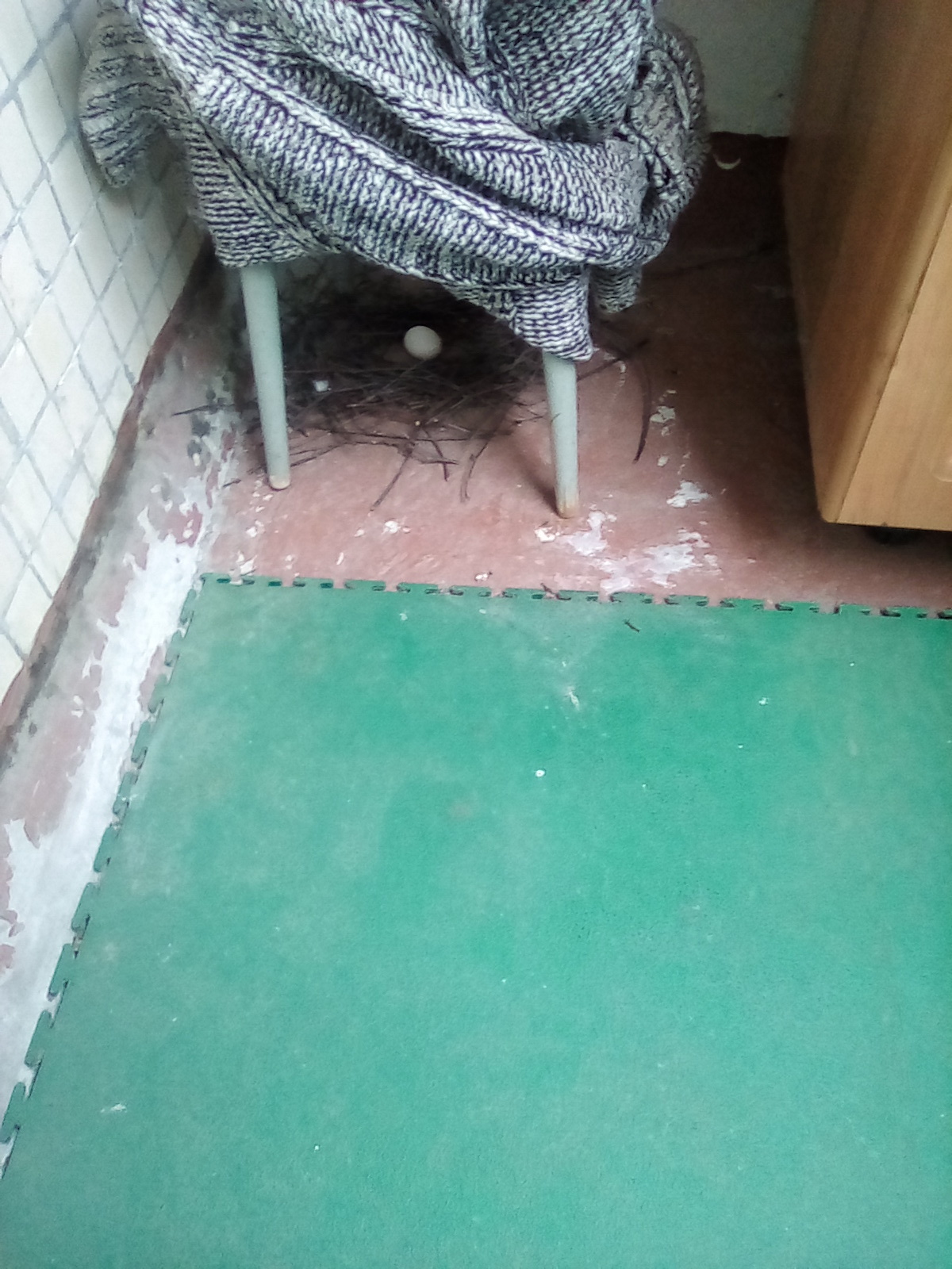 Когда не дают ипотеку, а детей хочется.....Весна -пора любви ..