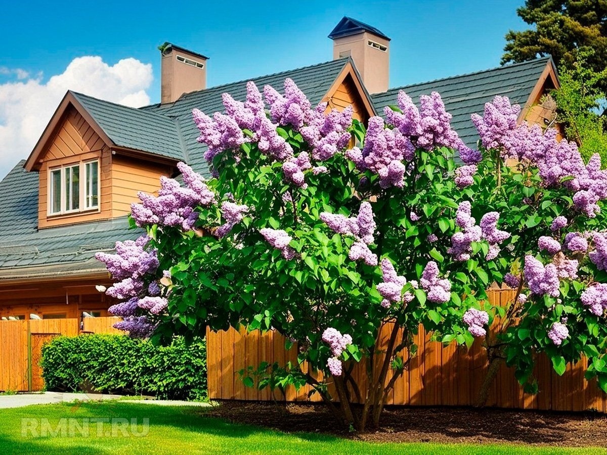 Участок с «сюрпризом»