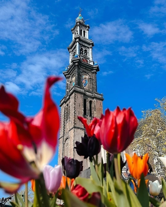 Амстердам: Город каналов, тюльпанов и свободы 🌷🚲🇳🇱