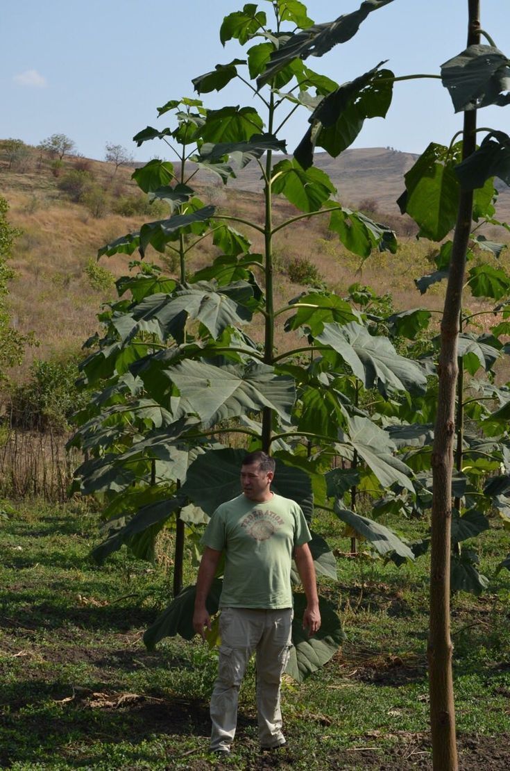 Нефтяная скважина у вас в огороде!