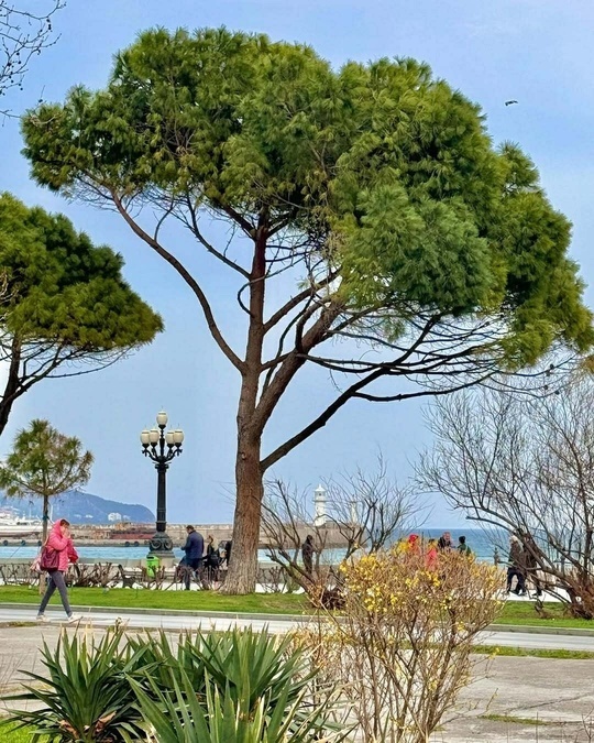 Ялта: Жемчужина Крыма, город солнца и вдохновения ☀️🌊🍇
