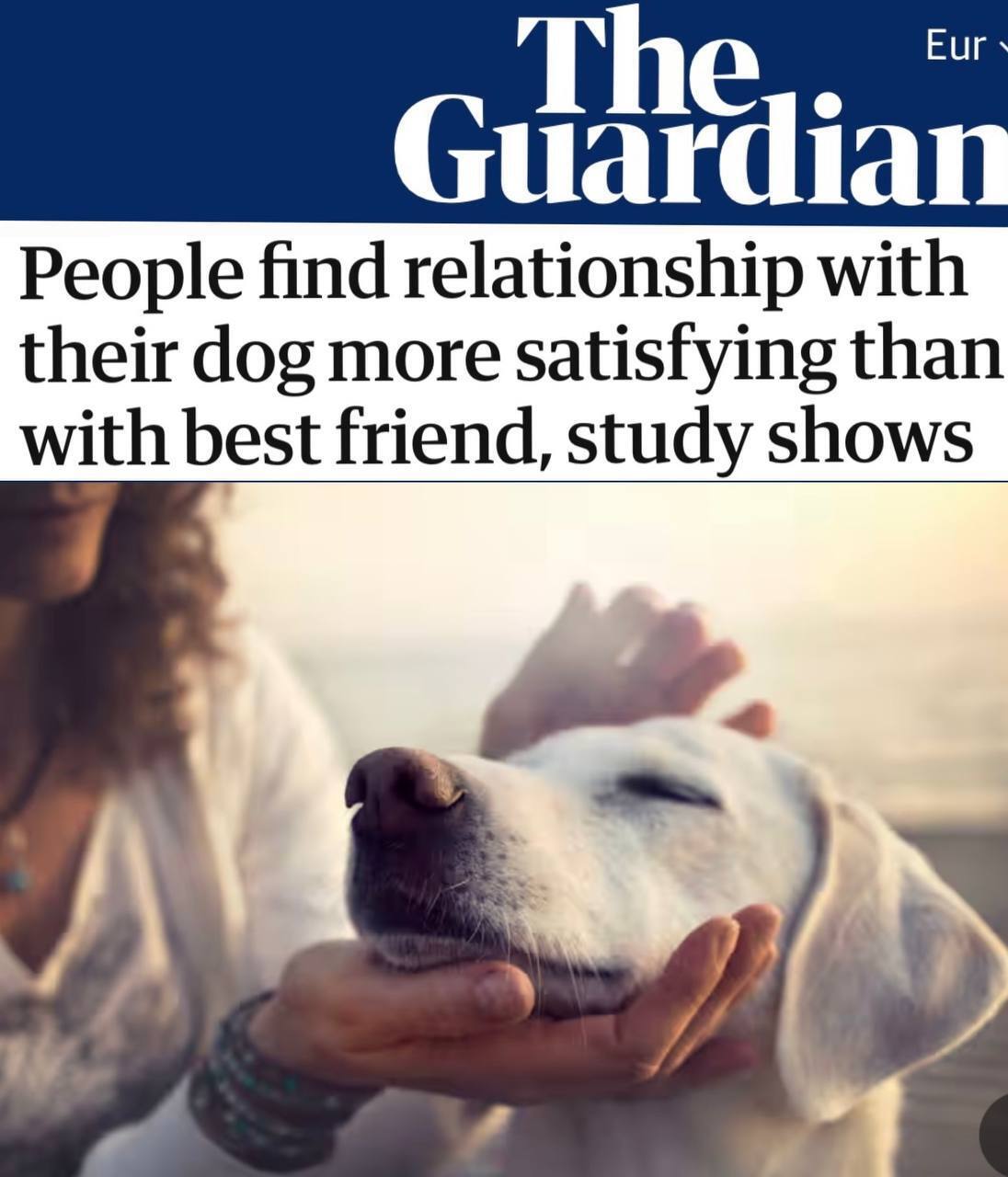 Почему собаки могут быть ближе человеку, чем друзья и дети: неожиданные выводы учёных