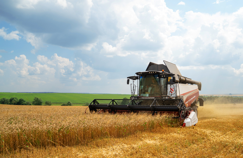 Дорогое производство или дорогие яхты? "Страдания" господина Бабкина