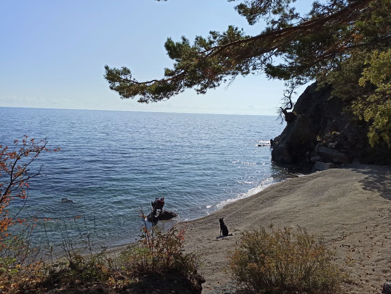 Когда душат на работе! Увольняться?