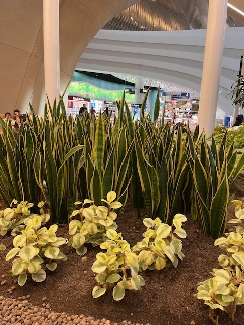 Права пассажира при задержке рейса: отдыхай и ешь бесплатно за счет авиакомпании. Личные истории