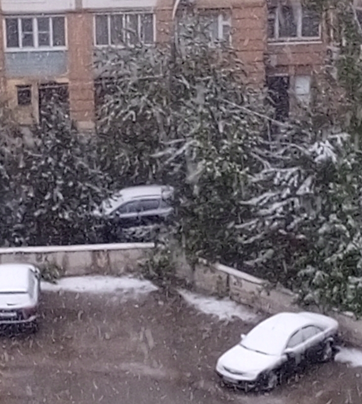 Снежное утро в Москве 2 мая 2025 года. А снег идёт, а снег идёт