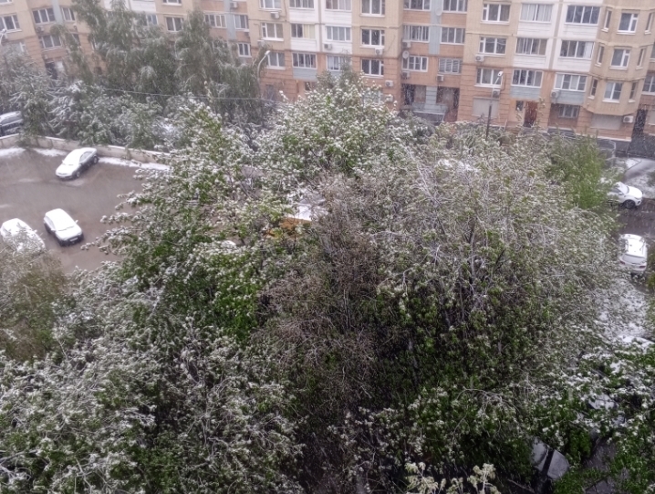 Снежное утро в Москве 2 мая 2025 года. А снег идёт, а снег идёт