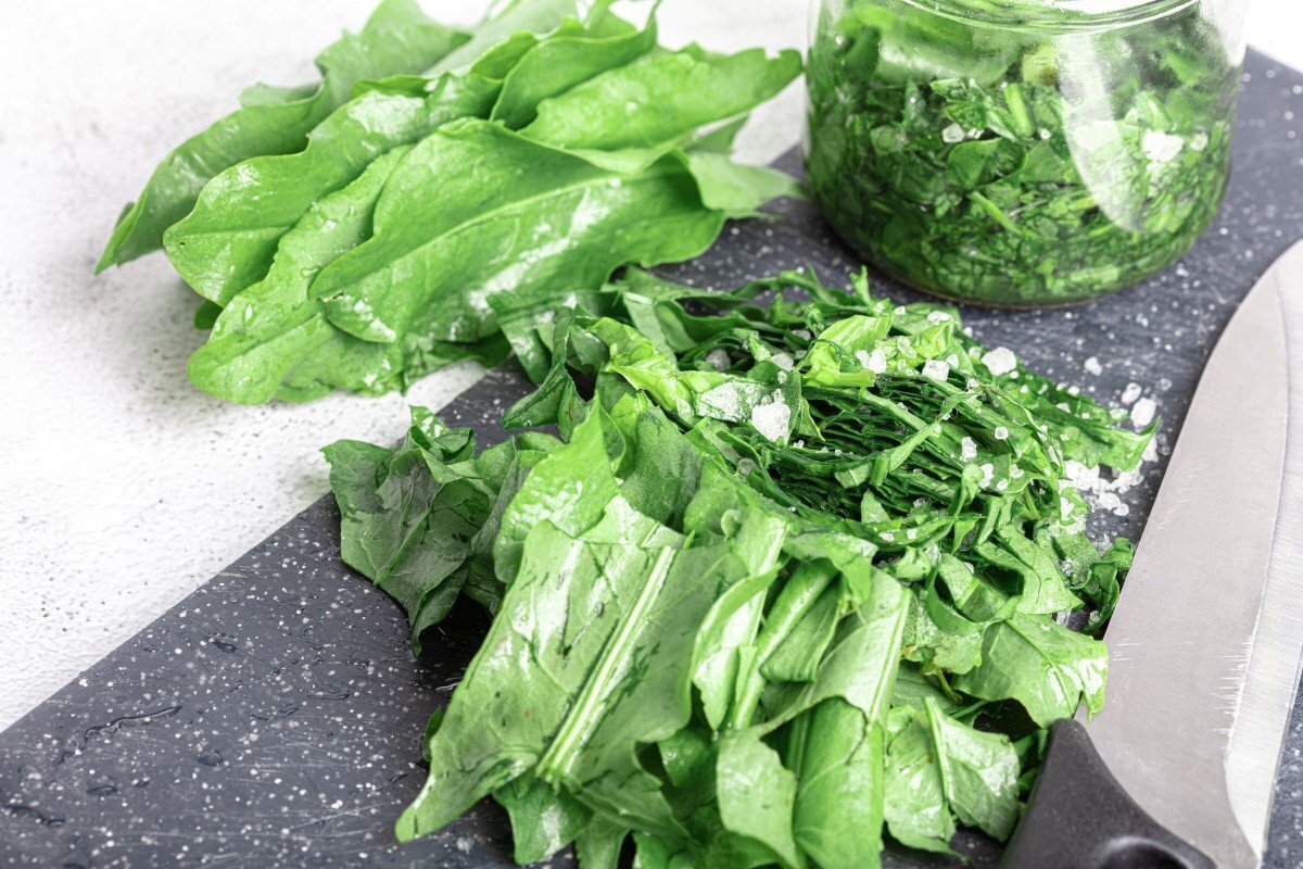 10 Блюд из Щавеля: Весенняя Свежесть на Вашем Столе