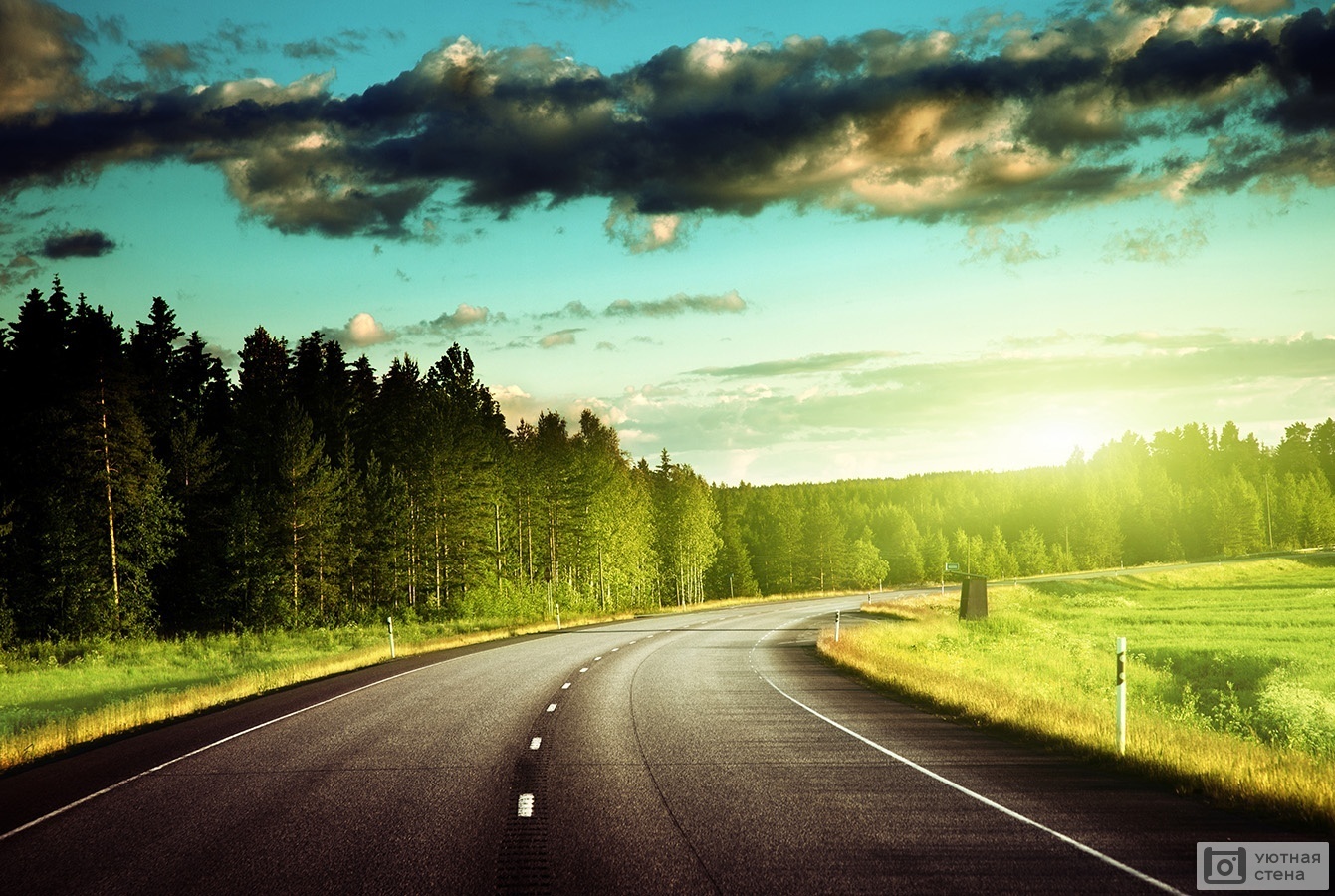 Свист немного с матом