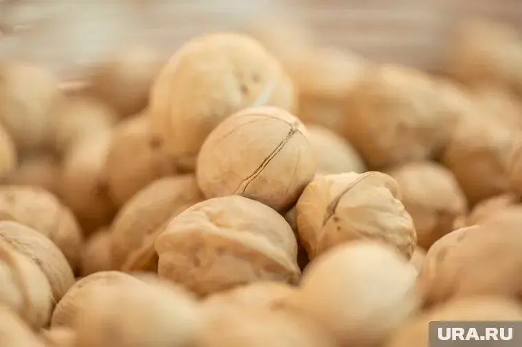 Орех для профилактики от рака