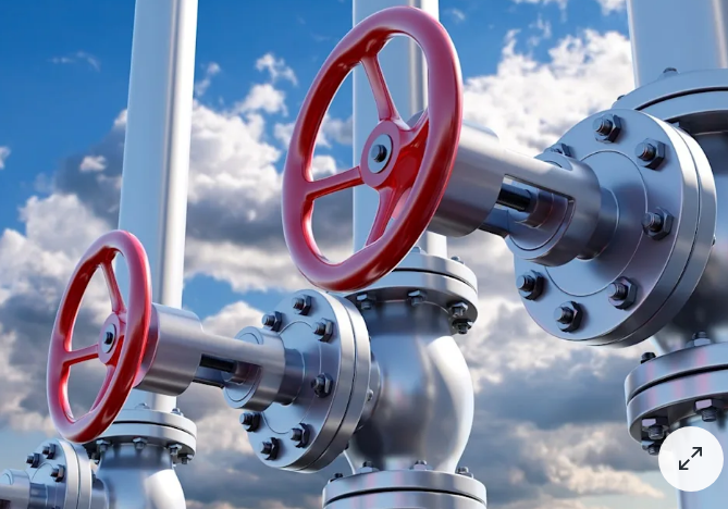 Си Цзиньпин посетит Россию на День Победы и проведет переговоры с Путиным