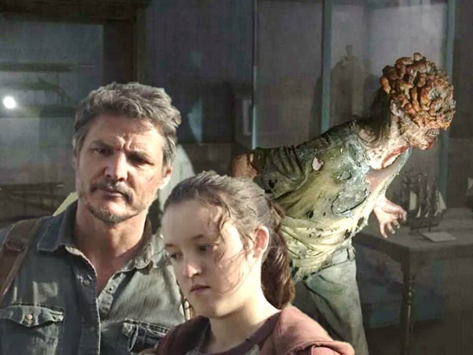 Живет в воздухе крупных городов. Что за смертельно опасный грибок распространяется по Европе и может появиться в России?