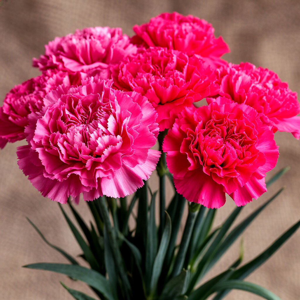 Обзор мини-сериала 2022