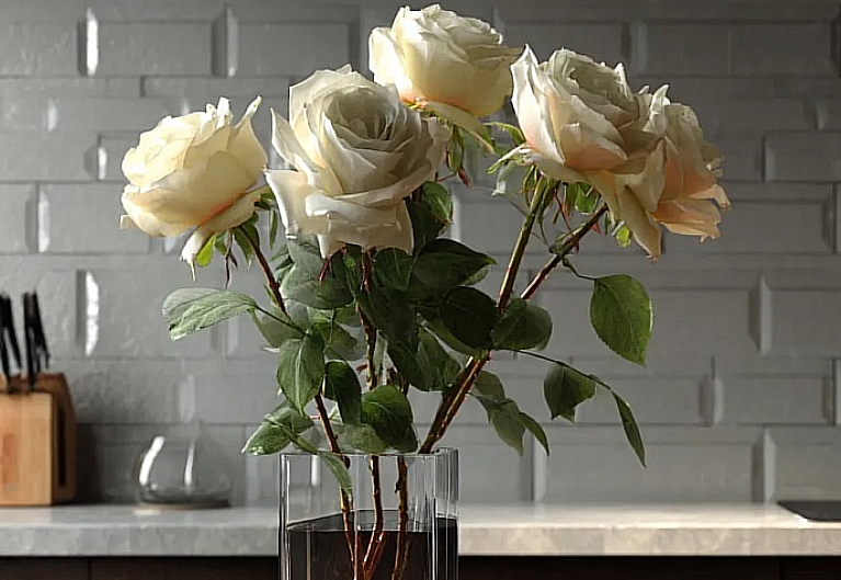 «С любовью к себе: шаги к женскому исцелению»