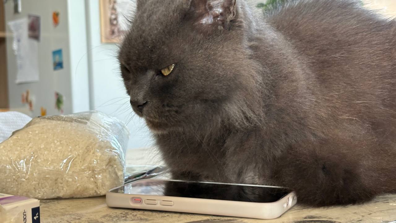 Давайте обсудим. Какие сериалы порекомендуете? А то у меня турецкий сериал головного мозга😂