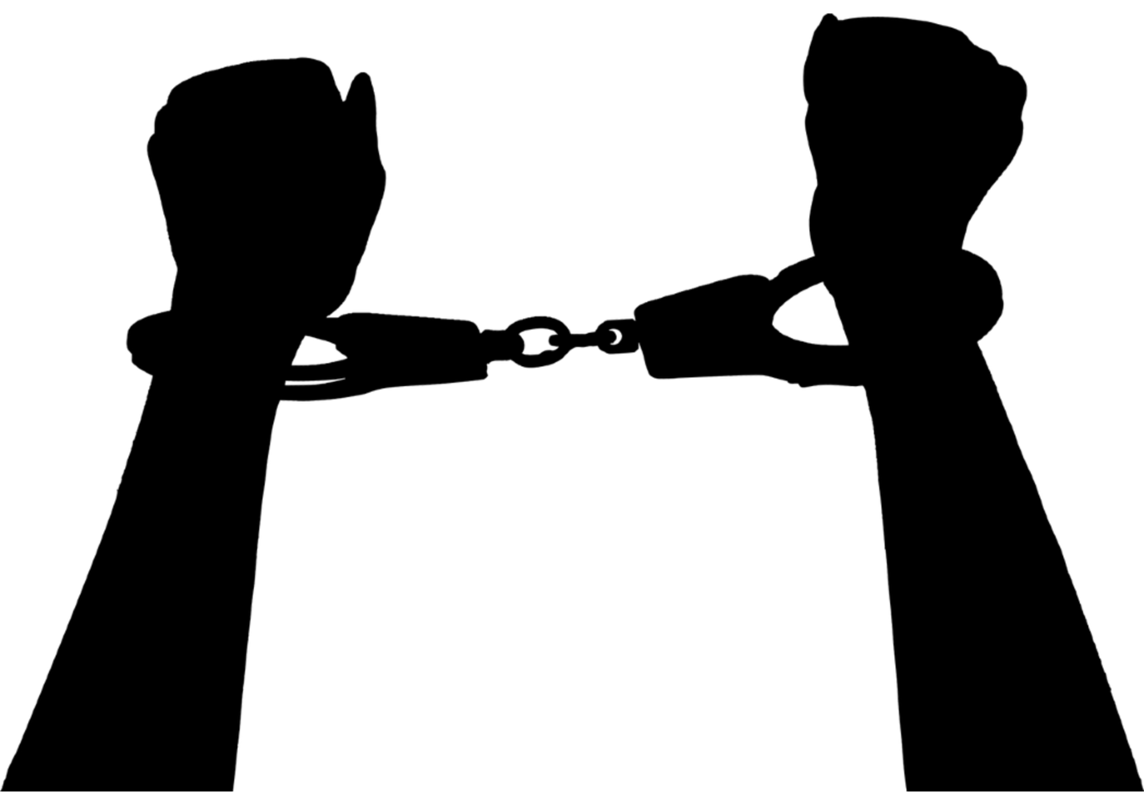 Каким может быть «Новый мировой порядок»