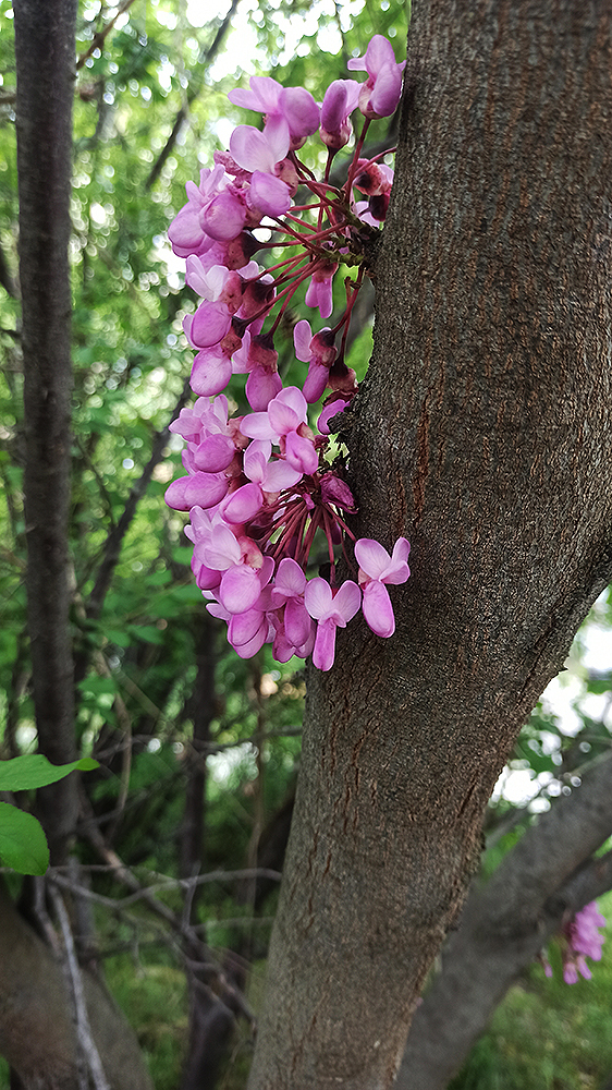 С букетами у нас поосторожнее