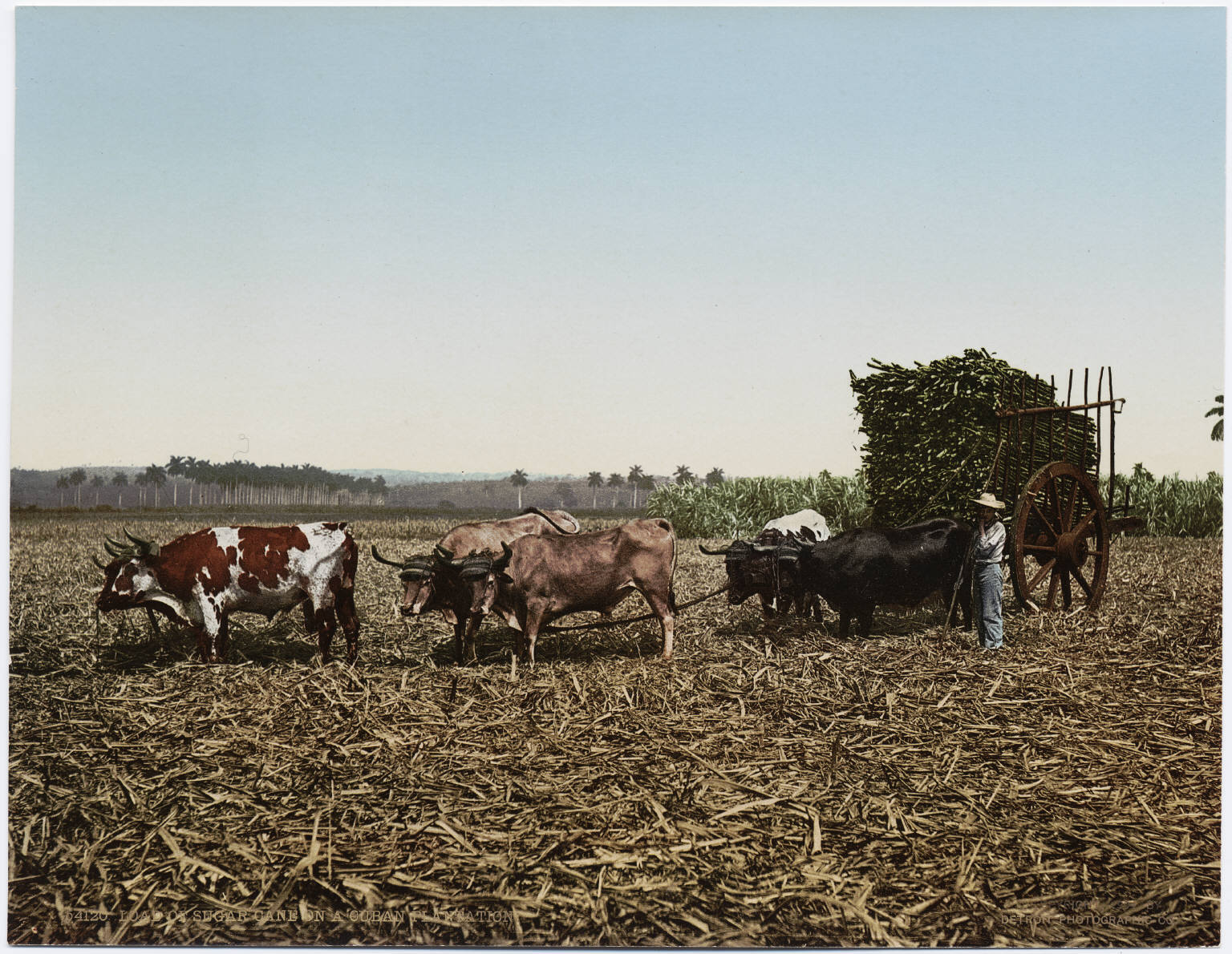 Миллиард за дружбу: Куба снова выиграла в лотерею "Русской рулетки"