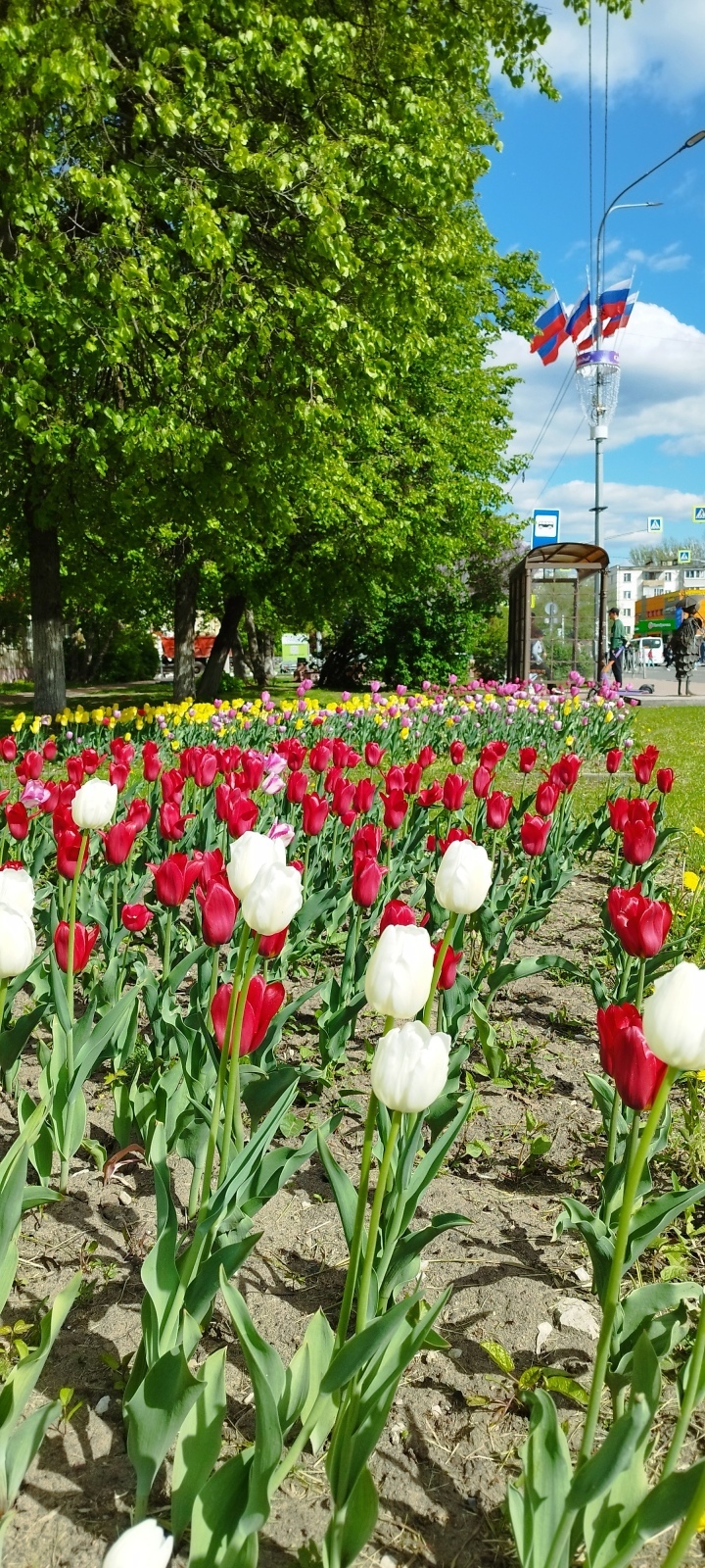 Празднование Дня Победы в подмосковном городе Раменское – фото