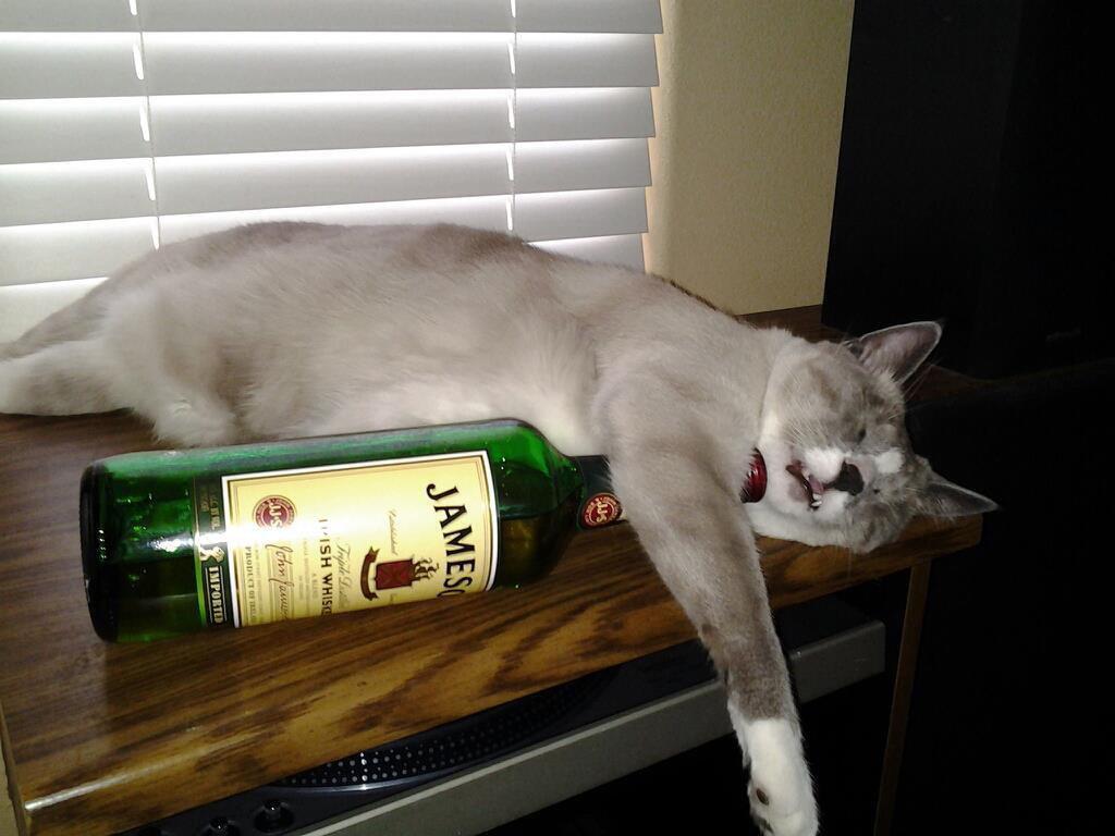 Бокал перед сном? Готовьтесь к бессонной ночи и провалам в памяти