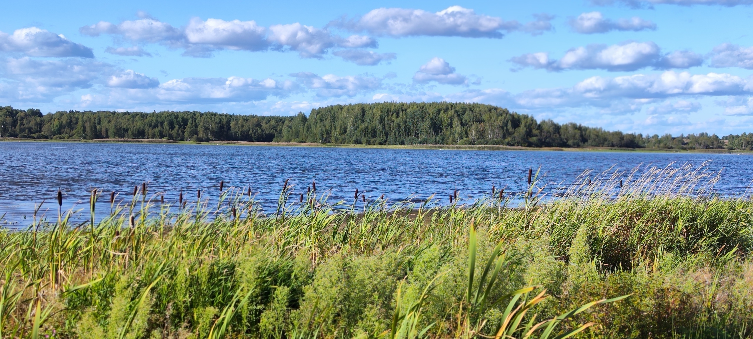 Кому надоели серьёзные темы, немного юмора из жизни: Как я оставила друзей без улова на рыбалке