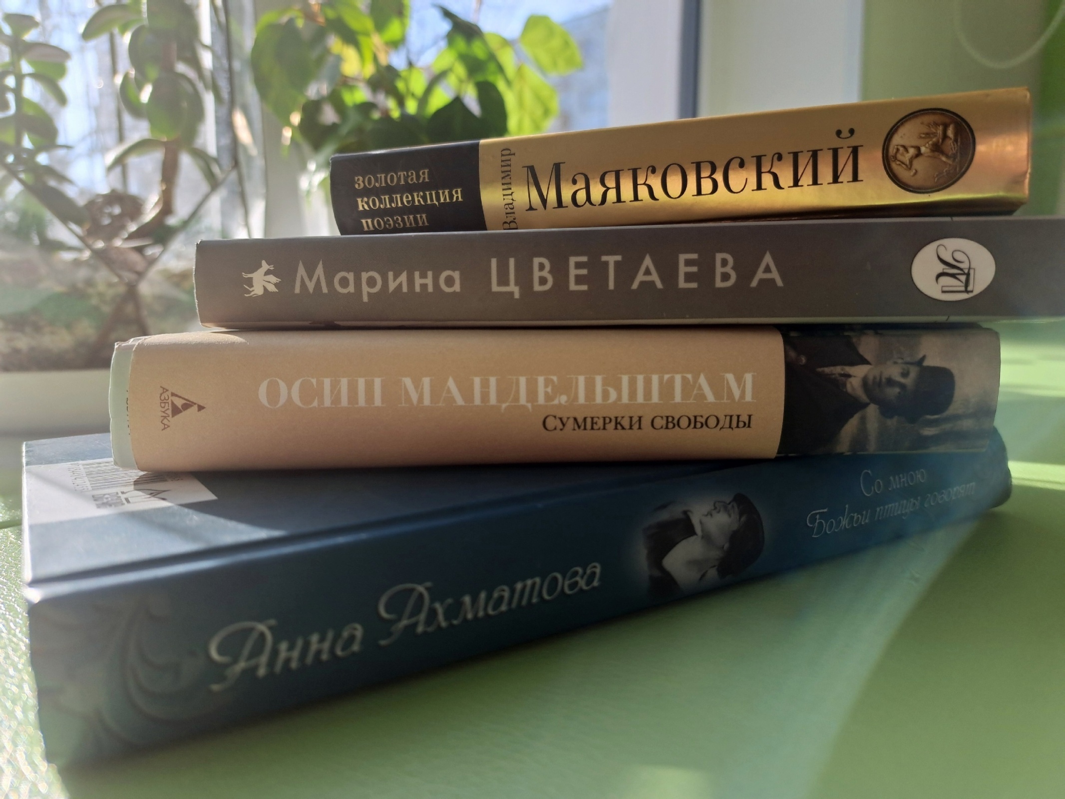 Долой цензуру? Как племяннице не продали Есенина, потому что 18+