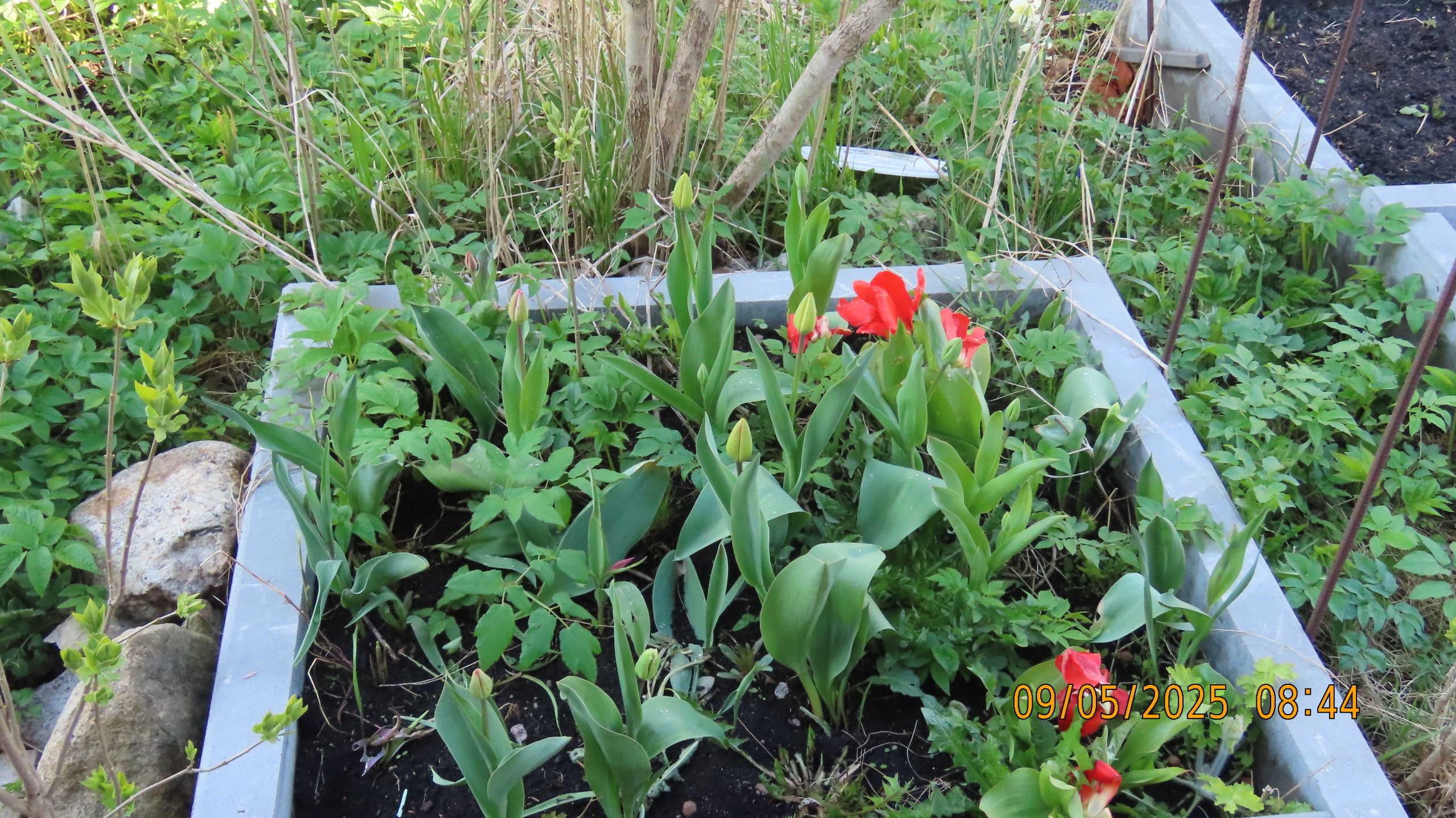 9 мая 2025 в Межстоличье. Вечная память воинам ВОВ