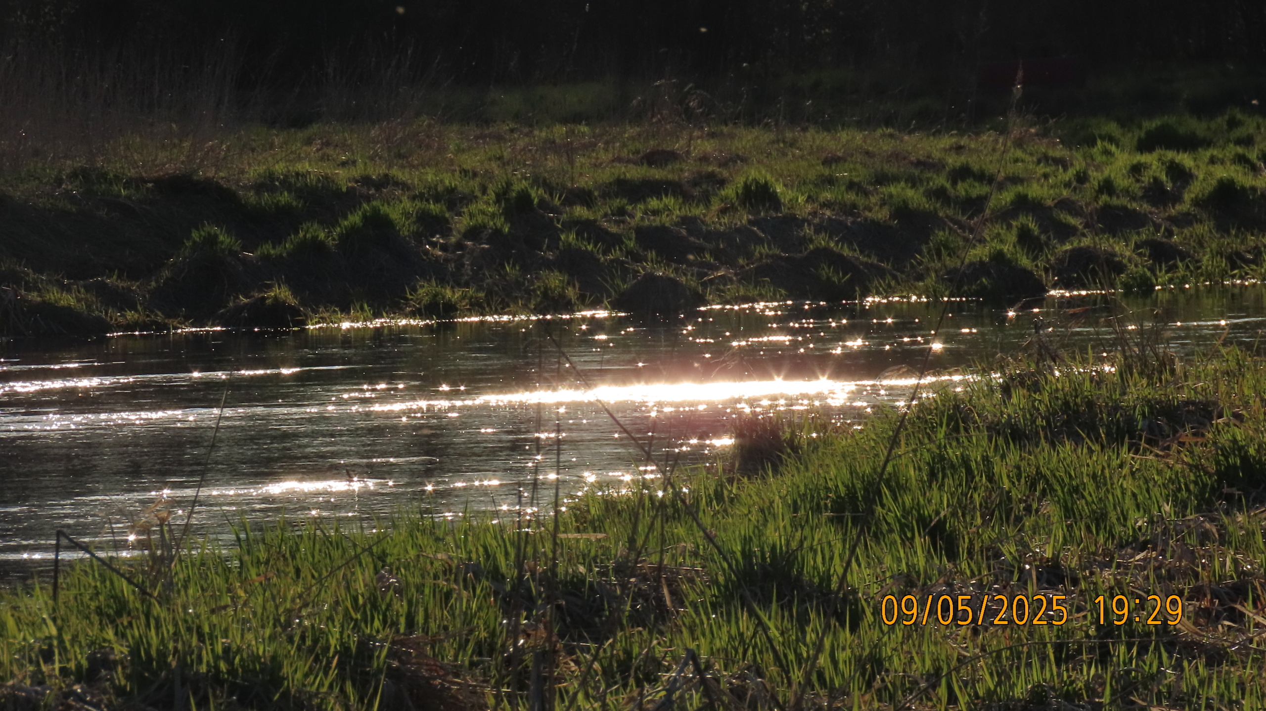 9 мая 2025 в Межстоличье. Вечная память воинам ВОВ