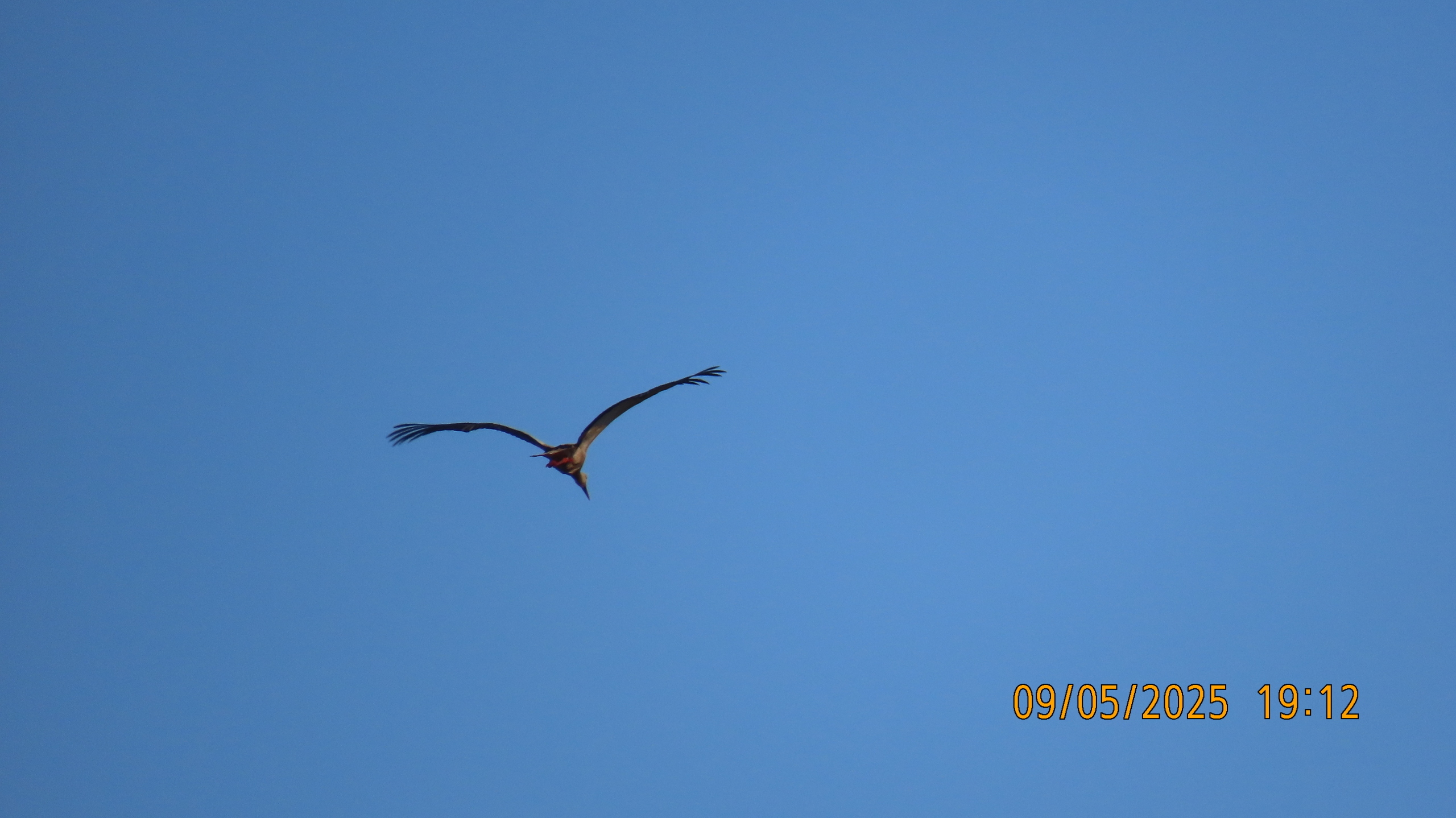 9 мая 2025 в Межстоличье. Вечная память воинам ВОВ